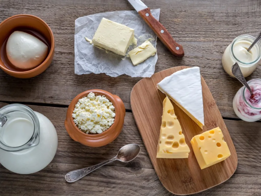 Variety of cheese like spreadable, ricotta, gouda, parmesan, brie jug of milk and a butter knife