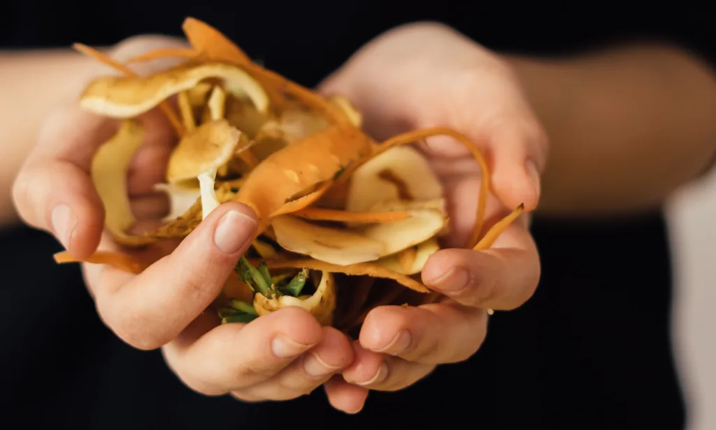 Woman hand holding a bio-waste 